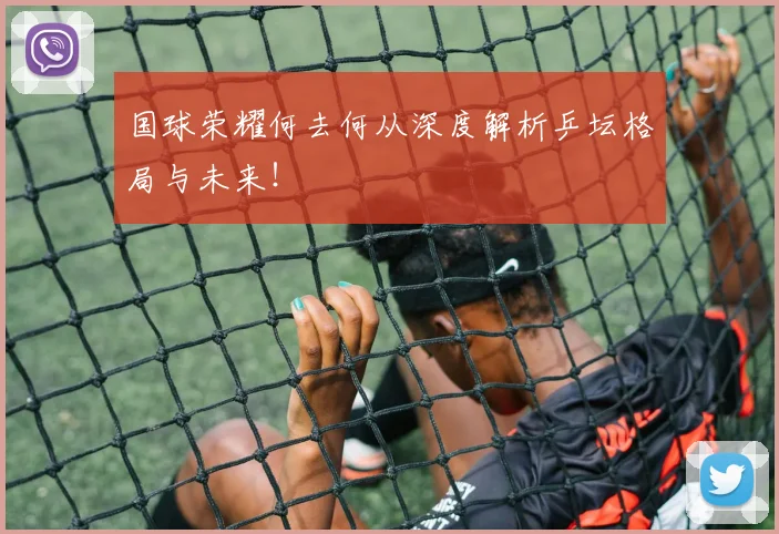 国球荣耀何去何从深度解析乒坛格局与未来！