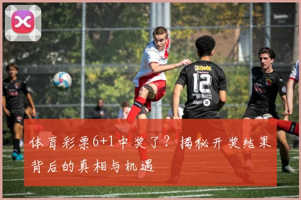 体育彩票6+1中奖了？揭秘开奖结果背后的真相与机遇