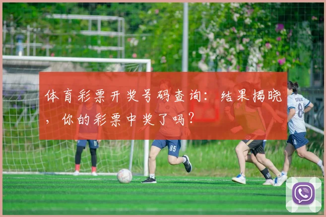 体育彩票开奖号码查询:结果揭晓,你的彩票中奖了吗?
