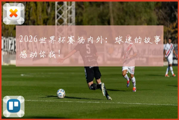2026世界杯赛场内外：球迷的故事感动你我！